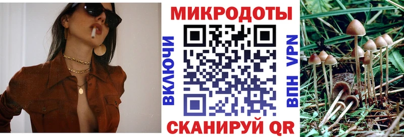 Псилоцибиновые грибы Psilocybe  где купить   Собинка 